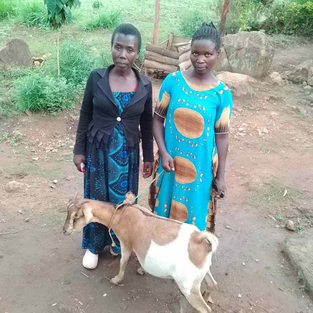 Goat project at Toma Butta Church of Christ